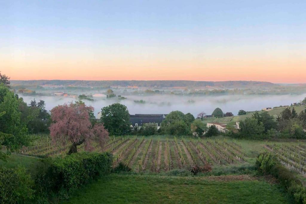 Maison Vue Panoramique Depuis Le Coteau De Chinon Exterior photo